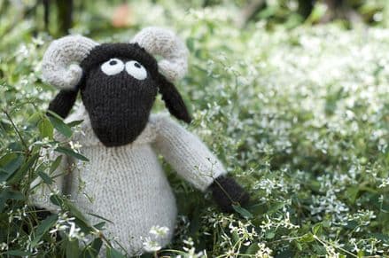 Wee Blackface Sheep (ver2) - Janice Anderson  (knitted fun version of the Blackface Sheep breed)